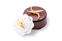 may-xay-sinh-to-5338 (7).png